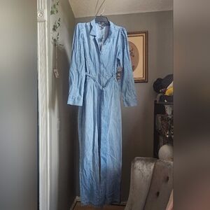 Express Denim Jumpsuit